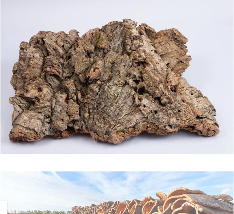 Natural cork bark flats arranged for orchid mounting