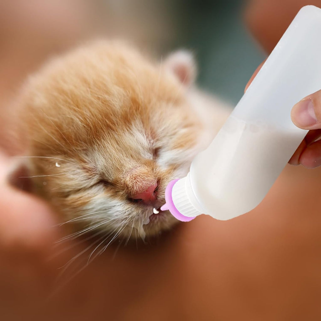 Xuandea five piece small animal nursing kit highlighting the compact size for baby squirrels and kittens.