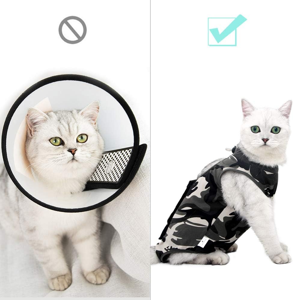 Side profile of pet in Doton post-surgery recovery clothing