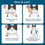 Instructions for fitting Amdeiur flea collar on cats