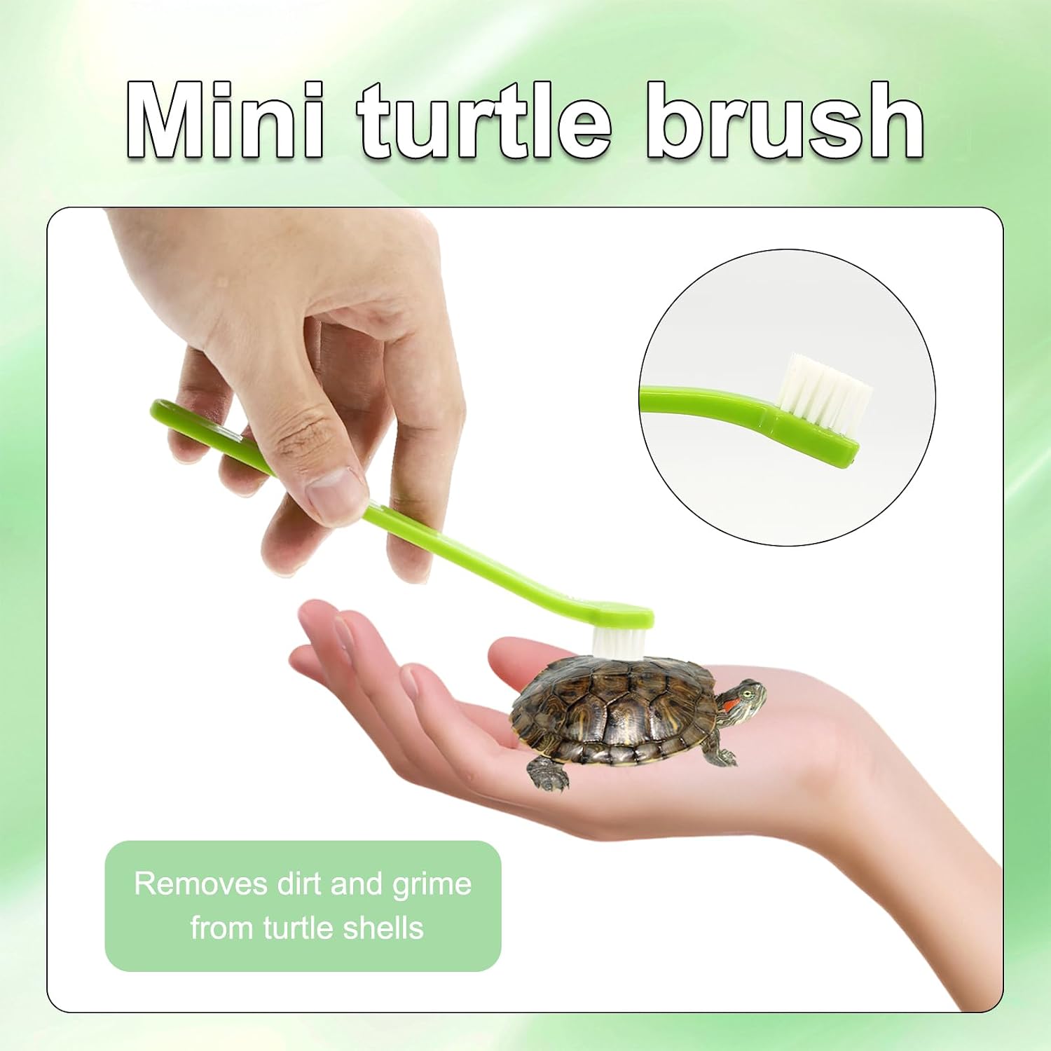 TURAOHU aquatic pet tank accessory kit components spread out on a clean background.