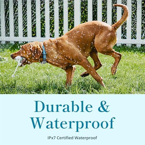 Petivity waterproof dog tracking device showcasing the durable pet safe exterior packaging