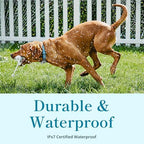 Petivity waterproof dog tracking device showcasing the durable pet safe exterior packaging