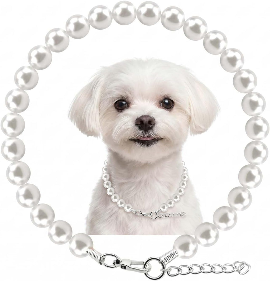 Hujnagh white dog pearl necklace front view on a small puppy