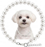 Hujnagh white dog pearl necklace front view on a small puppy