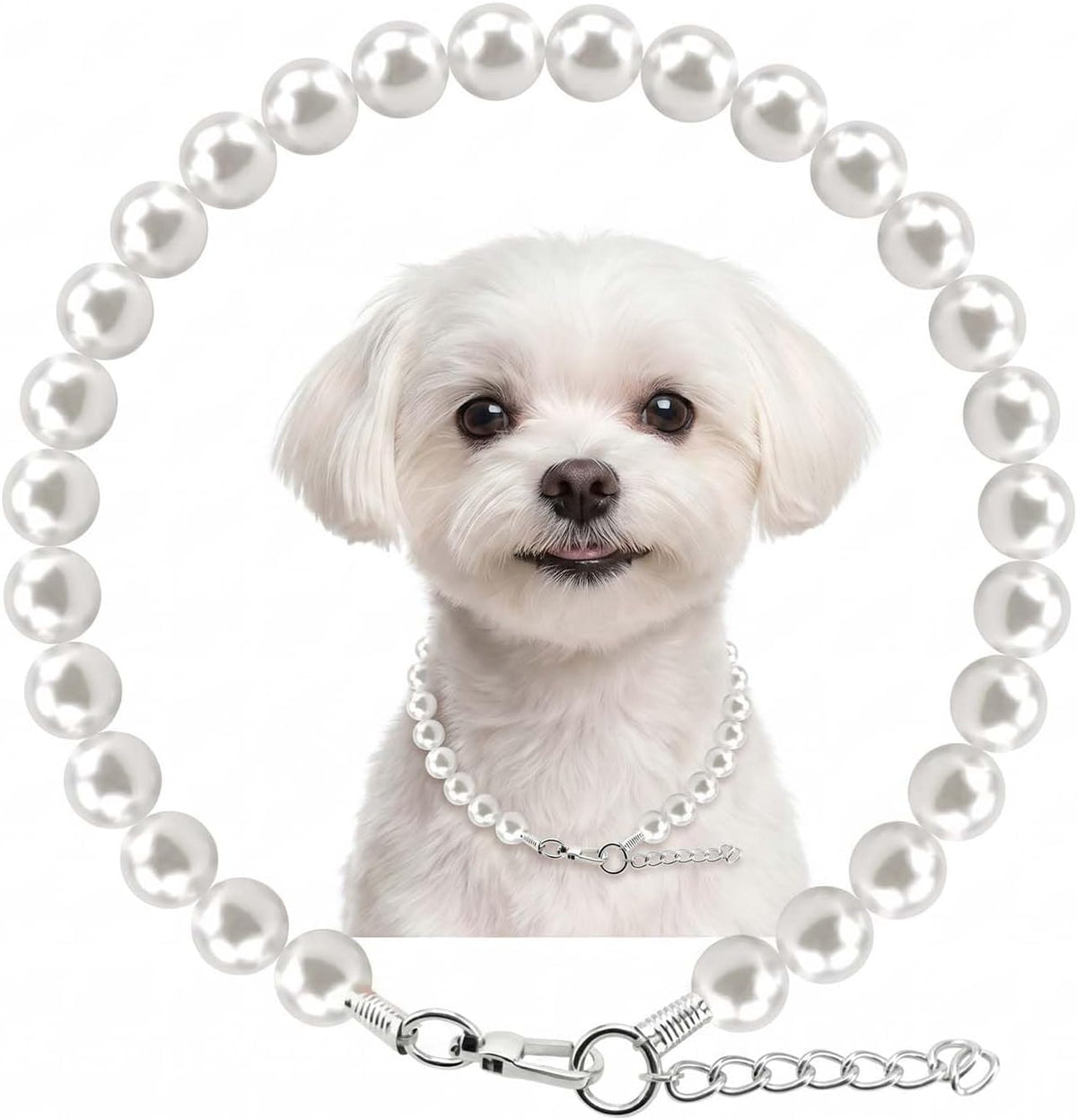 Hujnagh white dog pearl necklace front view on a small puppy