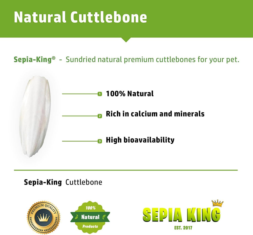 Sepia King cuttlebone attached to a bird cage for pet health
