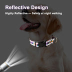 Fidohug escape proof dog collar medium size reflective stitching detail