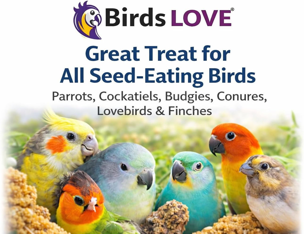 Cockatiel interacting with Birds LOVE healthy seed treat spray