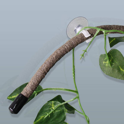 Coolrunner reptile habitat decor with suction cups attached