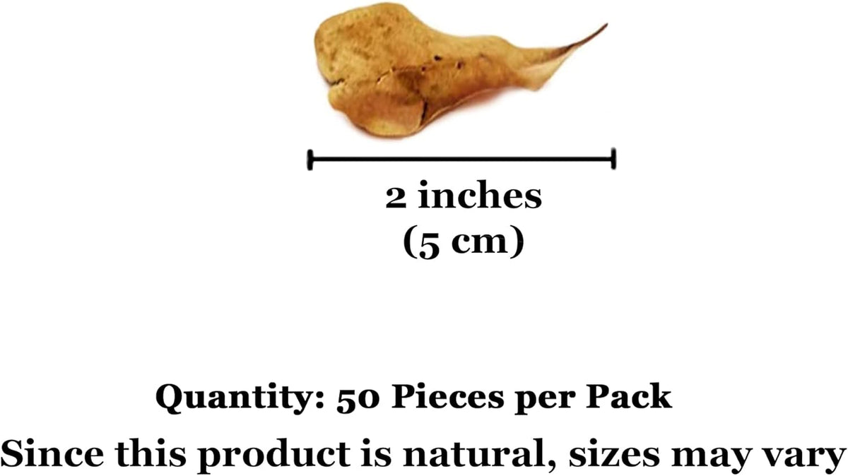 Authentic USA sourced pet wellness leaves for humidity maintenance