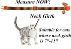 Cat wearing the seasonal autumn collar with attached bell