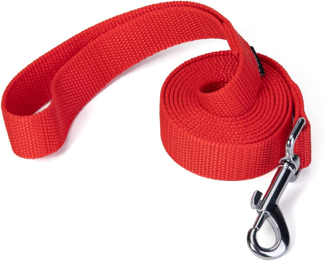 Strong Durable Nylon 10ft Long Dog Training Leash, Traction Rope, 1 Inch Wide, for Small and Medium Dog (Black, 10 Feet) - Image 12
