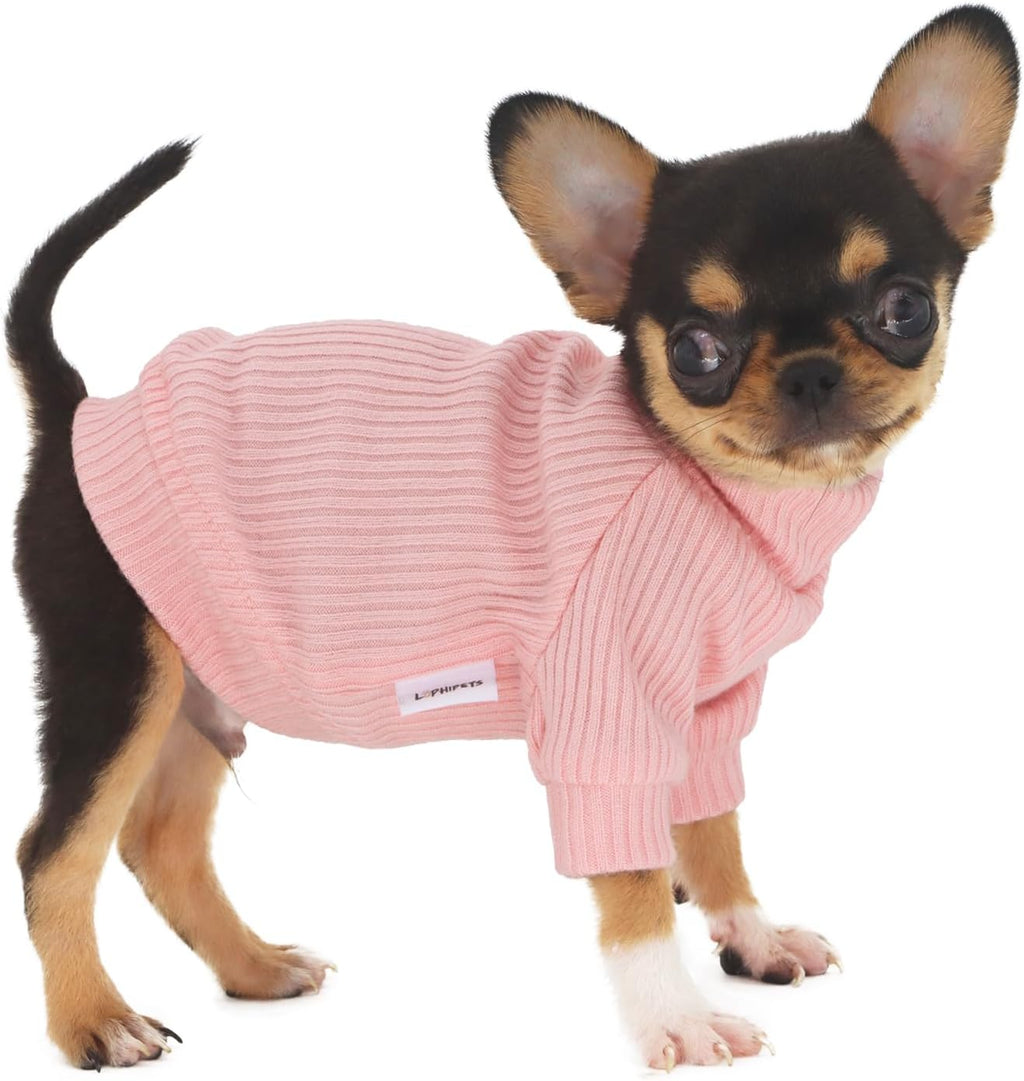 Lophipets small dog turtleneck sweater front view on a chihuahua puppy