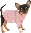 Lophipets small dog turtleneck sweater front view on a chihuahua puppy