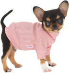 Lophipets small dog turtleneck sweater front view on a chihuahua puppy