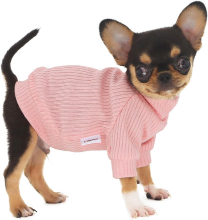 Lophipets small dog turtleneck sweater front view on a chihuahua puppy
