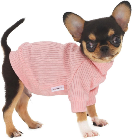 Lophipets small dog turtleneck sweater front view on a chihuahua puppy