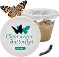 Clearwater Butterfly Company Live Cup of Five Caterpillars front packaging view showing live educational kit.