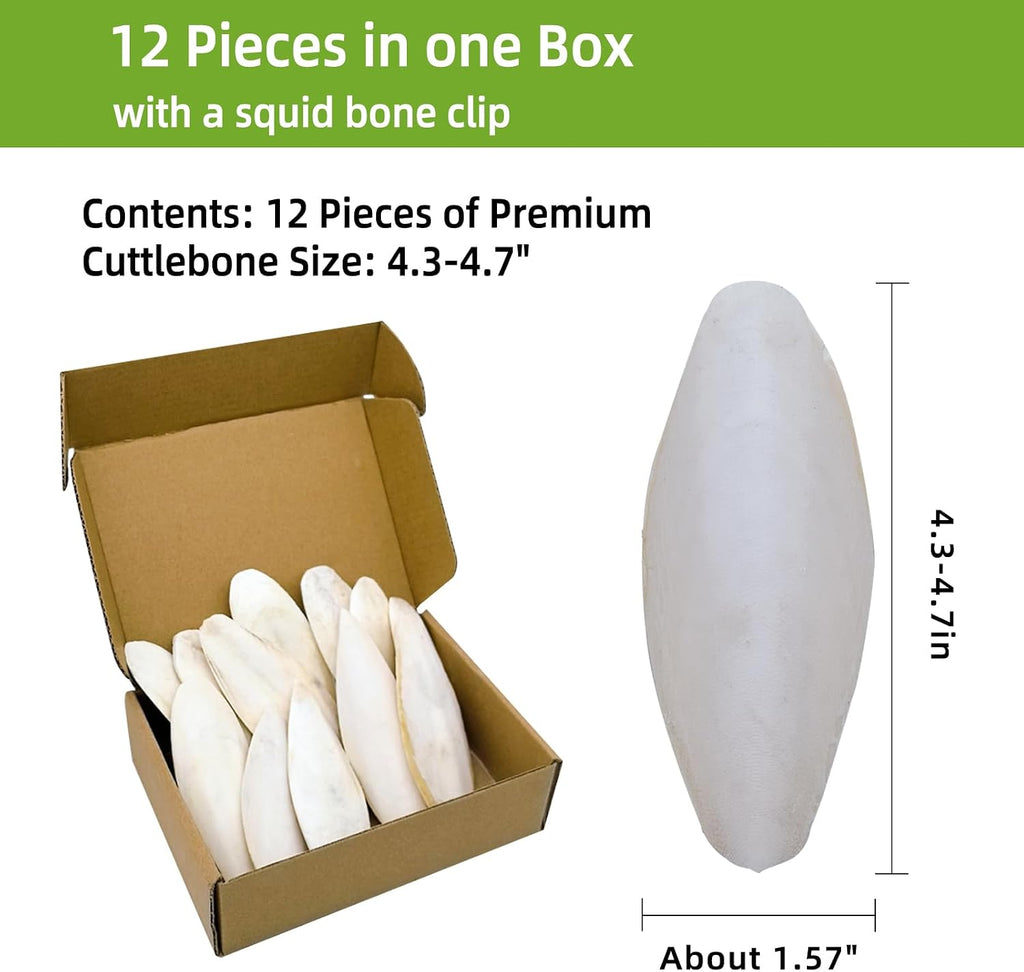 4.3"-4.7" Cuttlebone for Birds,Natural Cuttlefish Bone for Parakeets,12 Pcs - Image 2