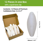 4.3"-4.7" Cuttlebone for Birds,Natural Cuttlefish Bone for Parakeets,12 Pcs - Image 2