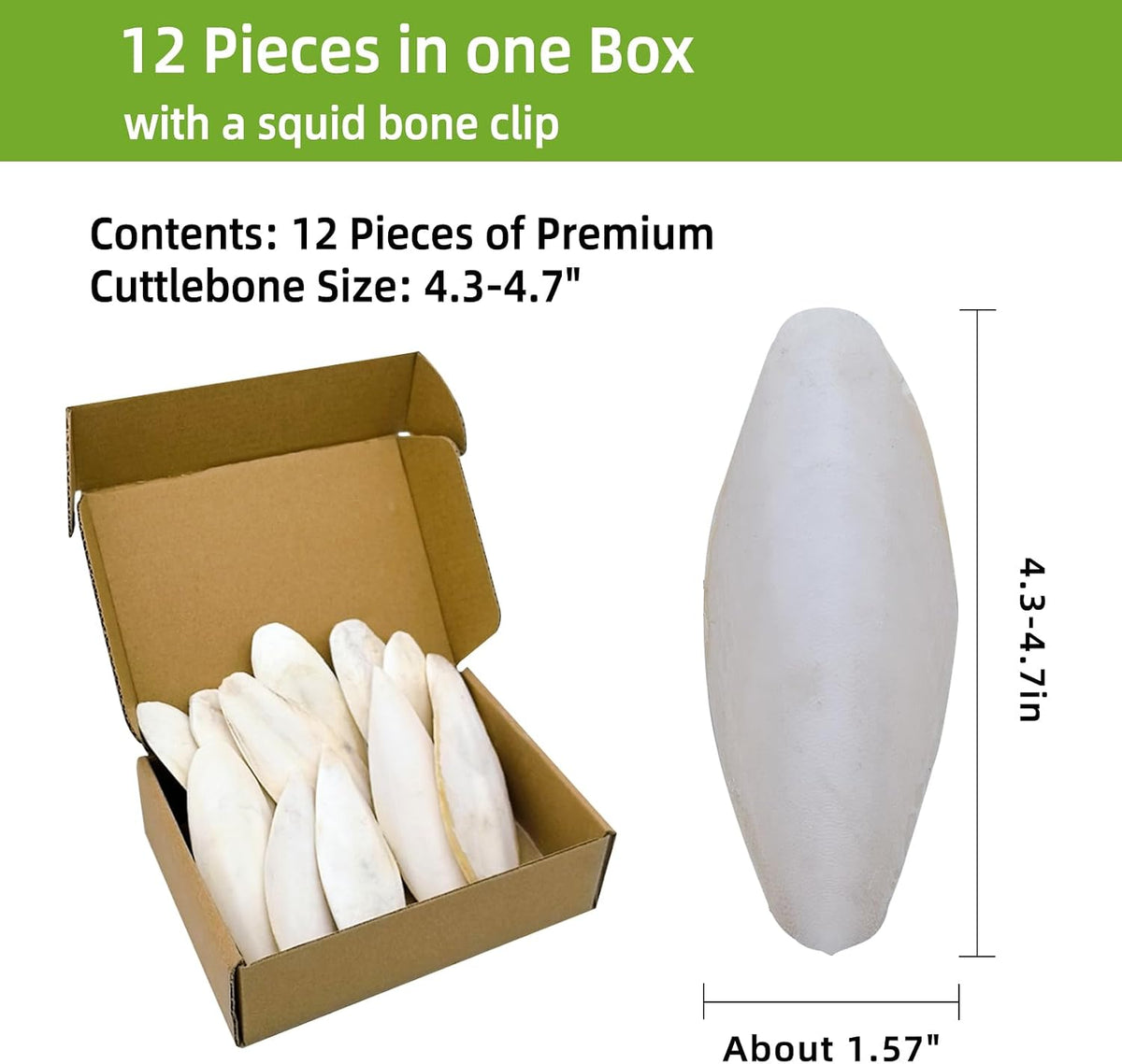 4.3"-4.7" Cuttlebone for Birds,Natural Cuttlefish Bone for Parakeets,12 Pcs - Image 2