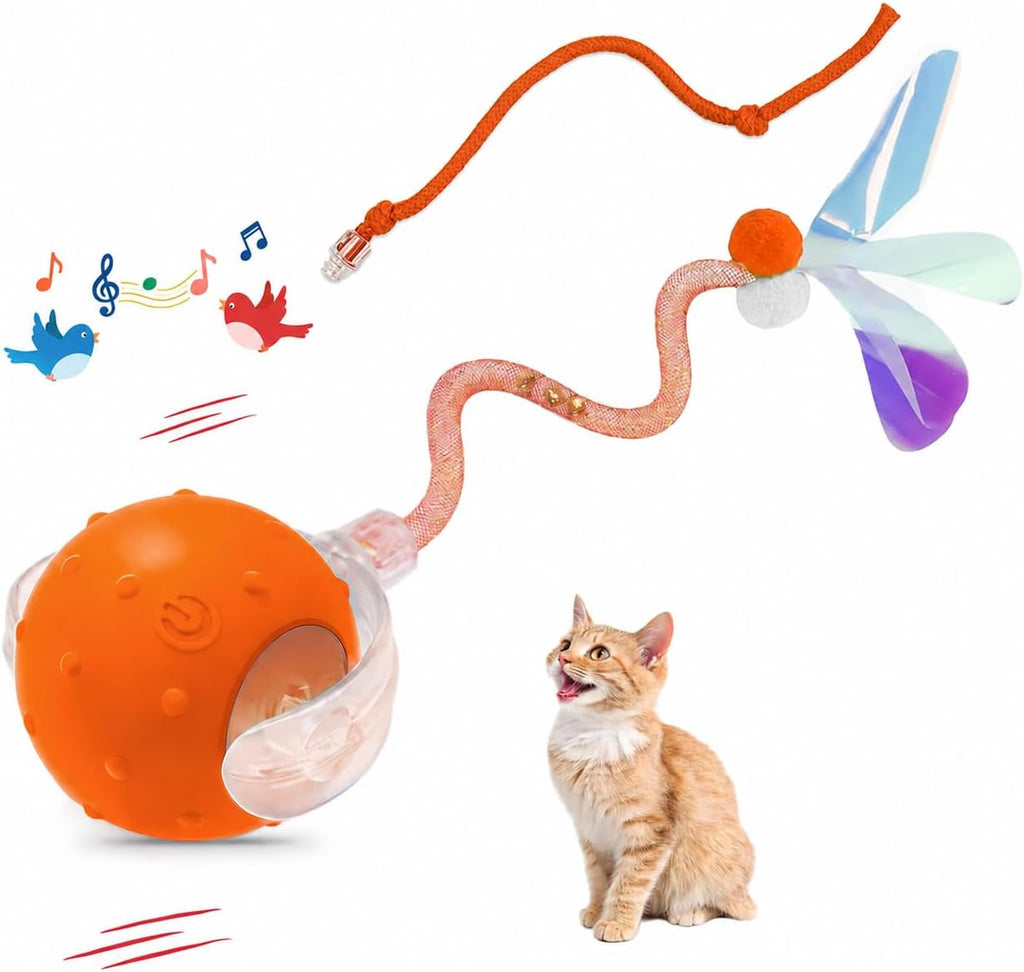 Sentoo boredom buster electric cat toy with dual speed settings.