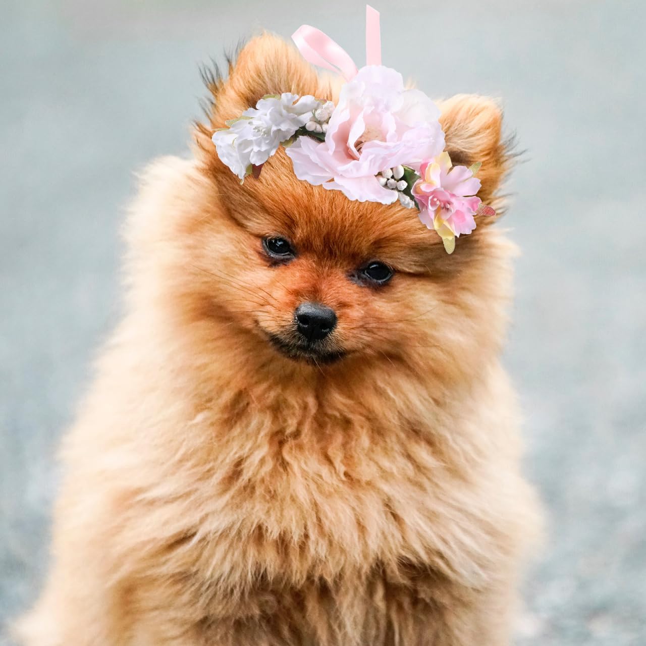 Housoutil pet wedding attire crown with adjustable ribbon tie