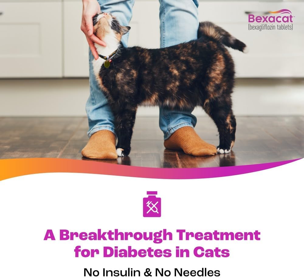 Authentic Bexacat feline diabetes medication label details