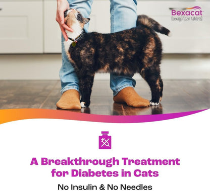 Authentic Bexacat feline diabetes medication label details
