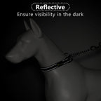 Plutus Pet stainless steel chain dog collar training mode view