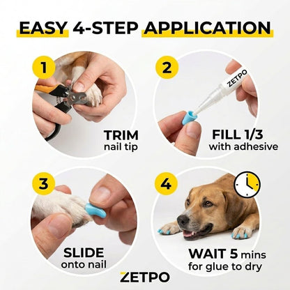 Close up of dog paws with colorful Zetpo anti-slip nail caps