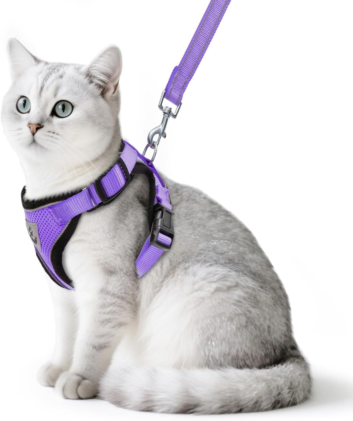 PUPTECK Cat Harness and Leash Set Escape Proof Reflective Cat Walking Harness Adjustable Soft Breathable Mesh Vest for Small Pets, Aquamarine, S - Image 14