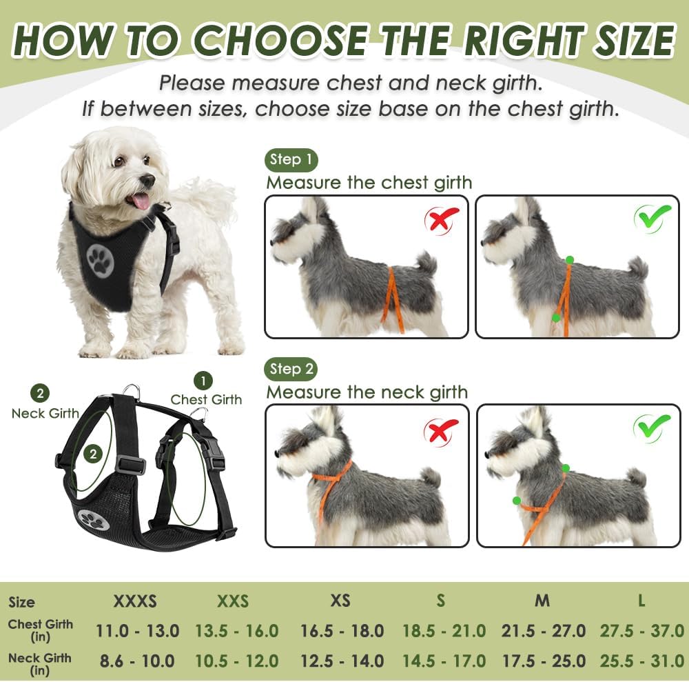 Details of metal carabiner and harness buckle system