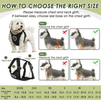 Details of metal carabiner and harness buckle system