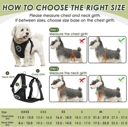 Details of metal carabiner and harness buckle system