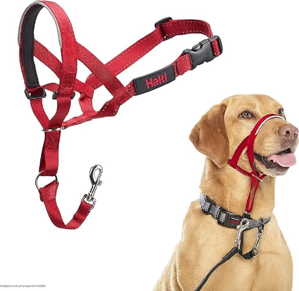 Halti Headcollar - Stop Your Dog Pulling on the Leash. Adjustable, Reflective and Lightweight, with Padded Nose Band. Dog Training Anti-Pull Collar for Medium Dogs (Size 3, Black) - Image 14