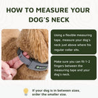 SpotOn authentic USA imported smart dog collar packaging details