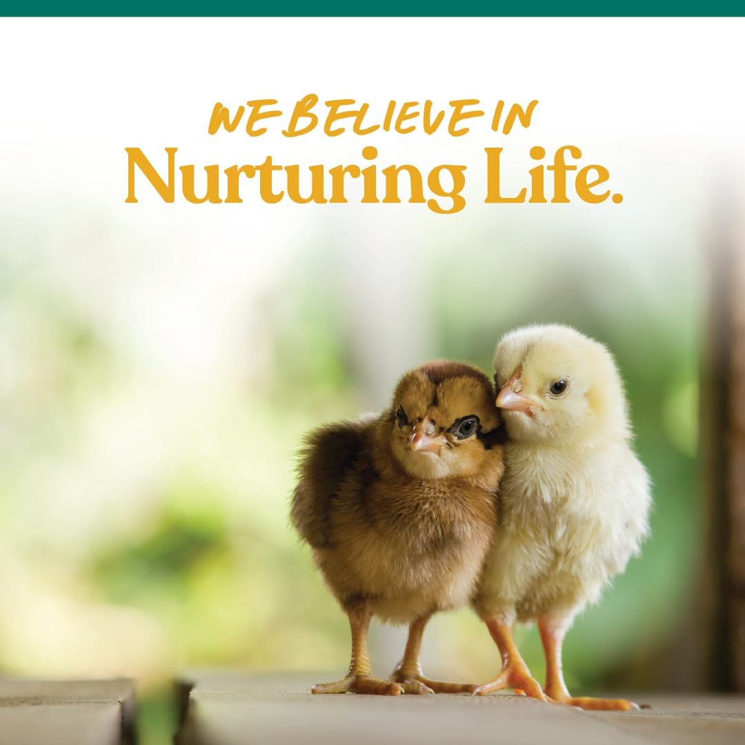 Small sized natural granite stones designed for young poultry gizzard digestion support