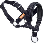 Wintchuk dog head collar front view on a large breed dog showcasing the black padded fabric nose piece.