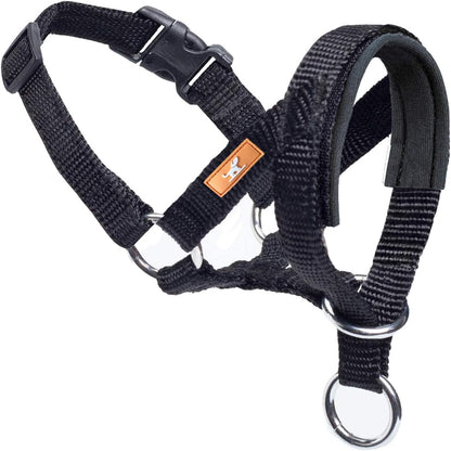 Wintchuk dog head collar front view on a large breed dog showcasing the black padded fabric nose piece.