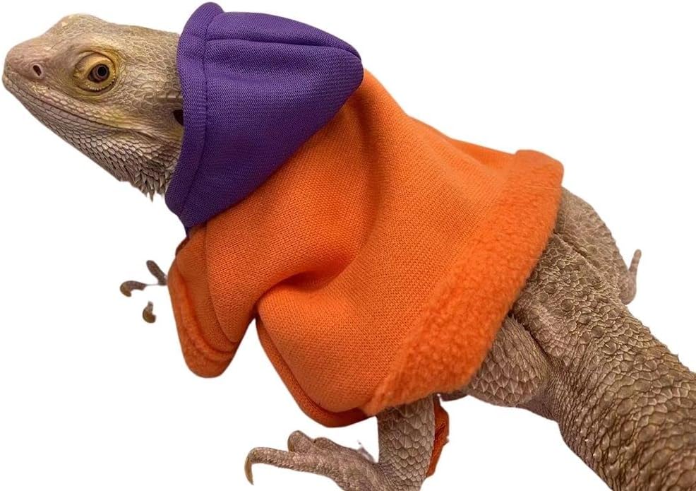KUNBIUH reptile hoodie folded to highlight lightweight construction