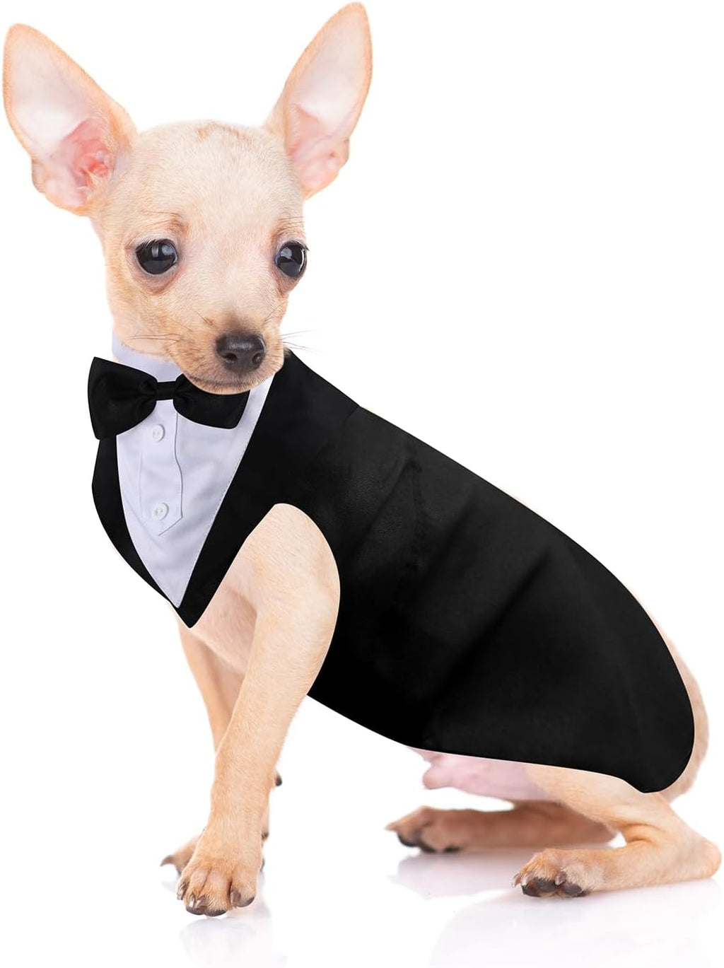 Weewooday imported authentic dog suit attire flat lay product view