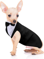 Weewooday imported authentic dog suit attire flat lay product view
