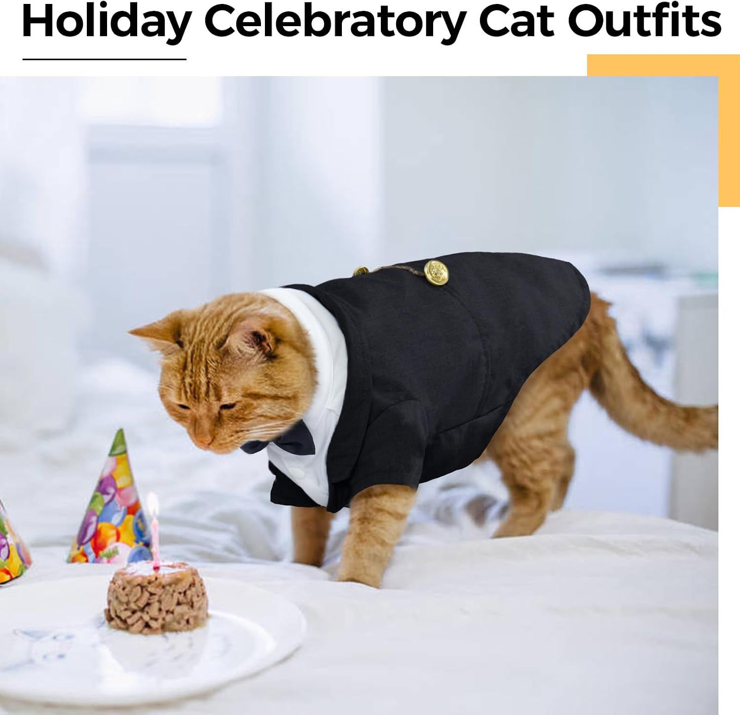 Sphynx cat wearing elegant wedding tuxedo costume