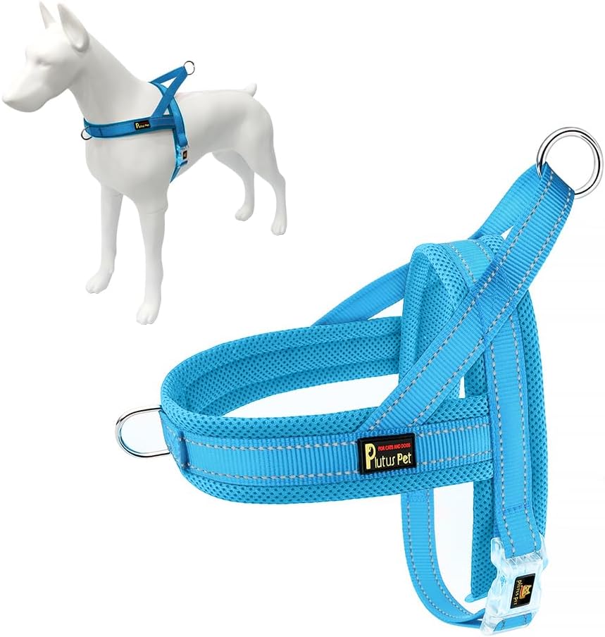 Plutus Pet casual walking dog vest back O ring view