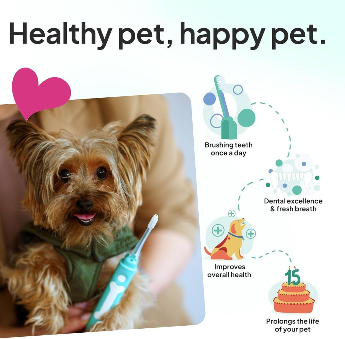 Small dog dental care kit showing ergonomic handle design