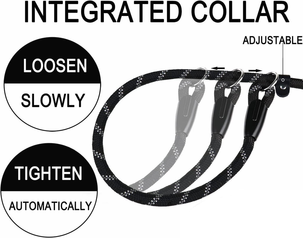 Durable two in one collar and leash combination for medium and large dogs