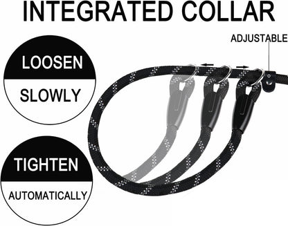 Durable two in one collar and leash combination for medium and large dogs