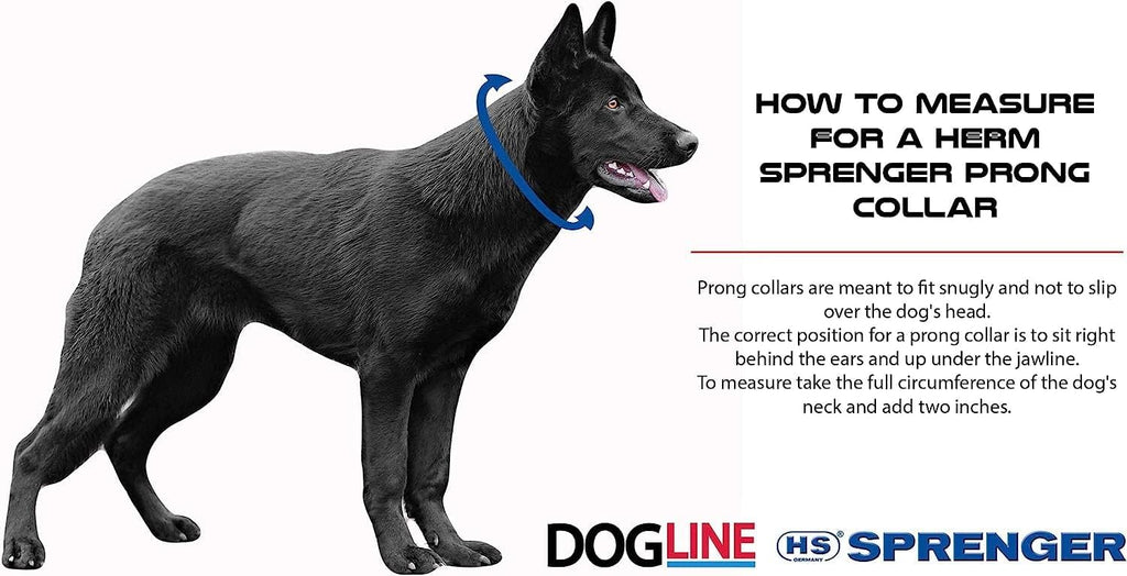German made Herm Sprenger no pull dog collar laid flat on a neutral background.